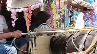 Kuda delman hias