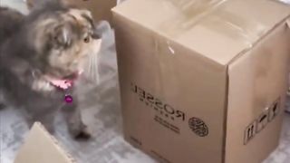 Little helper..