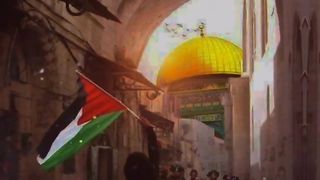 #palestine #palestinaisrael