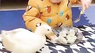 Young children and cute animals "Funny video"