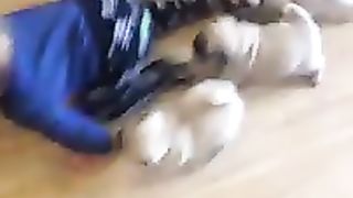 Baby and cute puppy ????????❤️