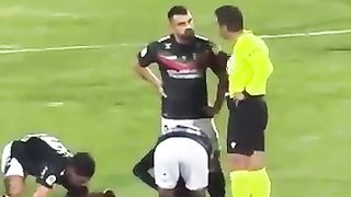 A dog enters the football field, playing too ????????????