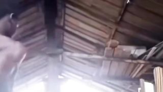 Funny Videos!! ????????????