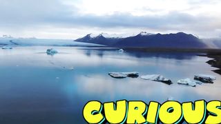 URGENT! PLANTS ARE GROWING IN ANTARCTICA