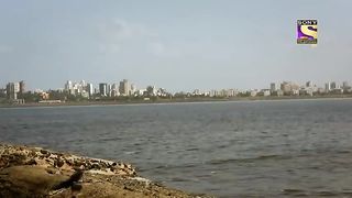 Mose chaal 40