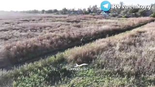 Ukraine Russia War | Priyutny: 34th Brigade Decimates Ukrainian Armed Forces | RCF