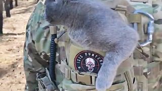Ukraine Russia Forest | Russian Scout and His Feline Companion | Kremennaya Chronicles | RCF