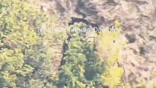 Ukraine Russia War | Lancet Drone Strikes Ukrainian 2S1 Gvozdika Howitzer | RCF