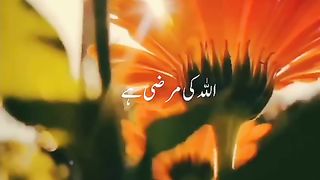 The sun rises is the signs of power of Allah