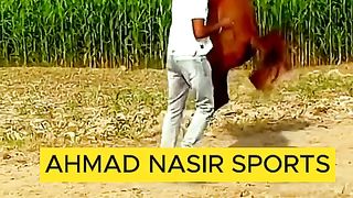 Horse Loverspls dont under review viral video #mast#watch#vedio