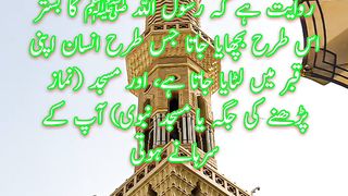 Quotes | Hadees In Urdu