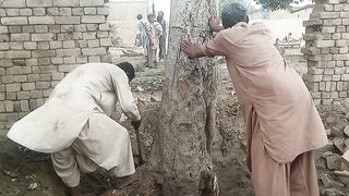 Hard work 14
