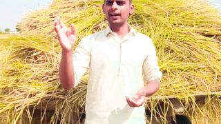 گندم کے بیج کو زہر مت لگایں 3