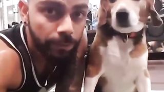 Funny Dog Viral Video 23