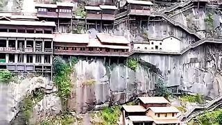 They live in the air! Fantastic!
