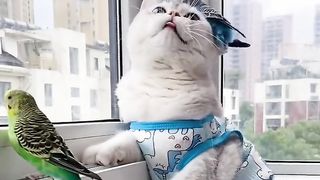 Best friends hanging out..????