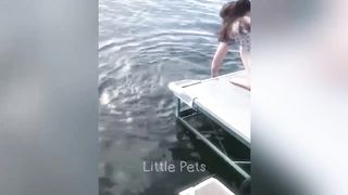 Funny Animals Video Part 2