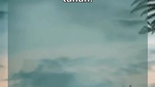 Words of Wisdom & Motivation #6