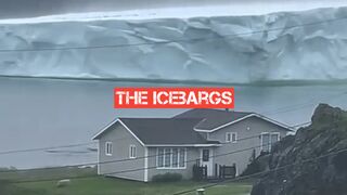 Escape the icebargs