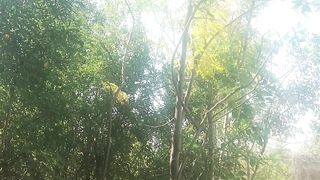Viral video 61
