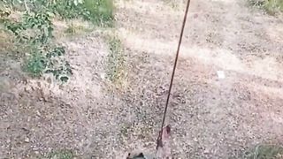 Low budget inventions/tips. caochali