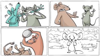 The Universe 25 Mouse Experiment