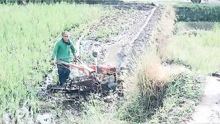 Traktor sawah