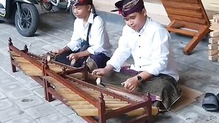 Doli-doli musical instrument from Sumatra, Indonesia
