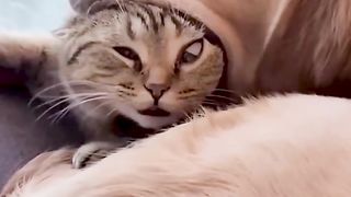 These animals are hilarious????