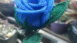 Blue Roses Crochet