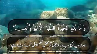 *????دلوں کا سکون ????*
