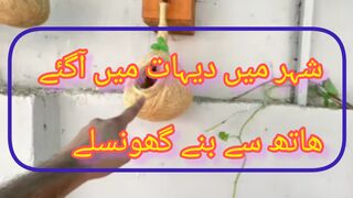 شہر میں دیہات میں آگئے ھاتھ سے بنے گھونسلے