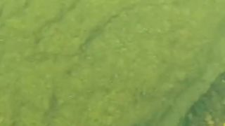 Scuba diber finds possible murder weapon underwater