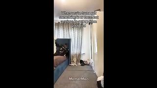 memes that made my butterfly MEMES #1