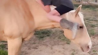 Horse and Girls Friendship that you have never seen in your life