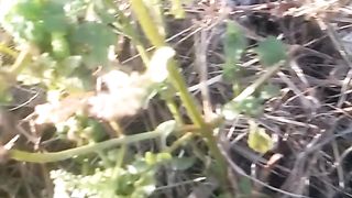 Animal's lover 146