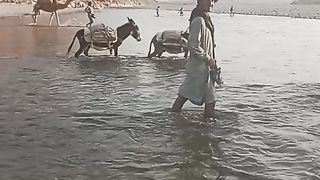 Donki and water krasing