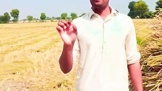 ڈی اے پی کی پہچان کس طرح کریں