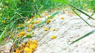 Wonderful Planet Earth | Natural Scenery | Dreaming | Paradise | 4K View | Viral Video