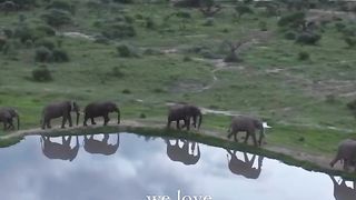 We love jabulani
