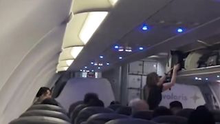 Flight delayed by mosquito
