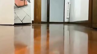 Angry cat is angry but even cute