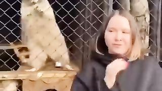 Popular videos from Tik Tok