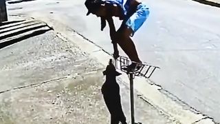 Be Aware Of Dogs clip2023