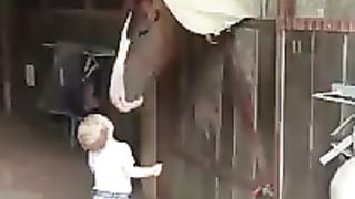 A little girl greets her horse friends