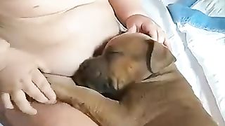 A beautiful little boy touches the sleeping puppy in his lap