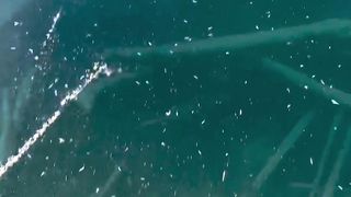 wait for it.