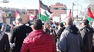 Stand  for Palestine
