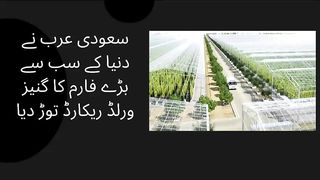 Saudi Arabia broke the Guinness World Record for the world's largest farm