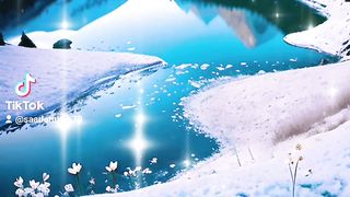 Video 305